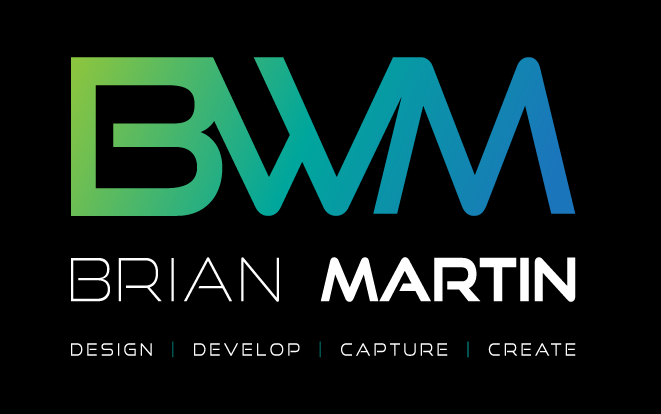 logo color